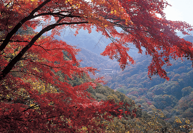 가을 백암산 전경