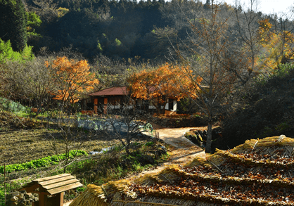 금곡영화민속촌 숲에 둘러싸인 마을 전경
