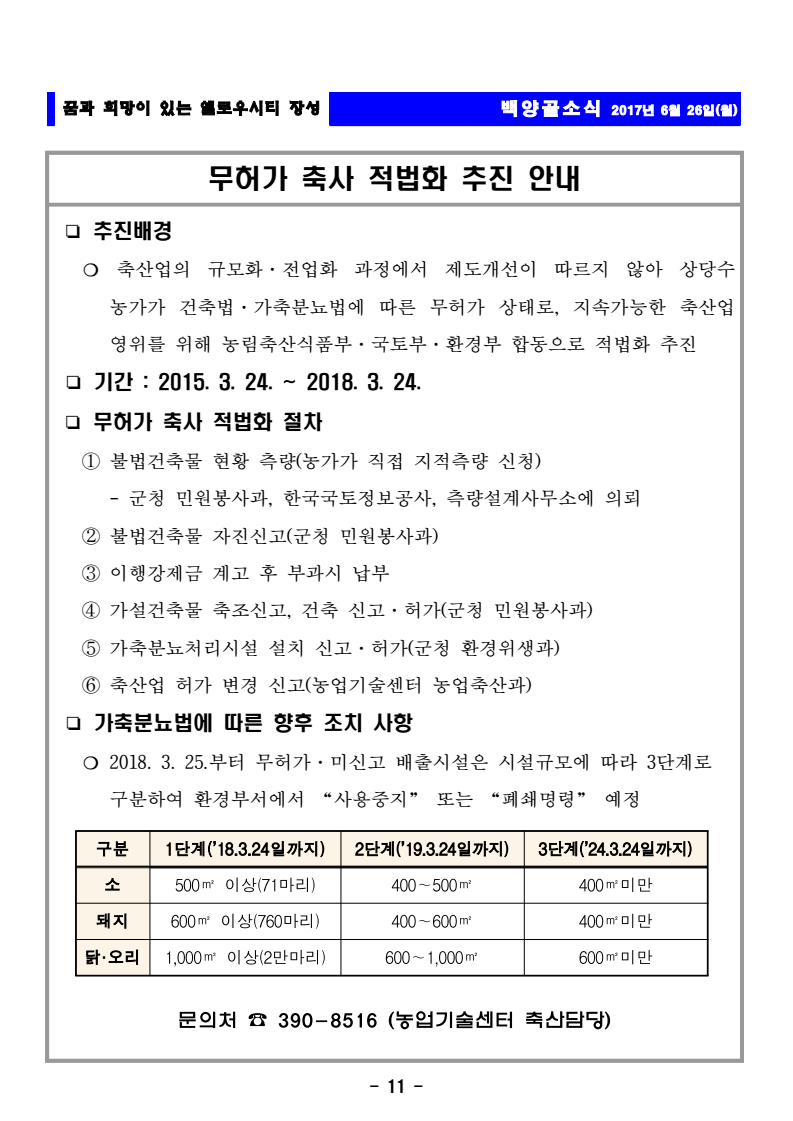 page11