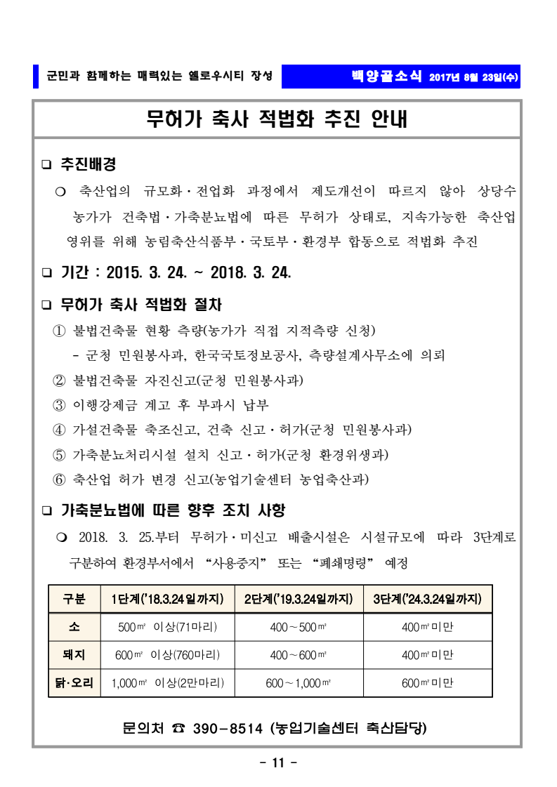 page11