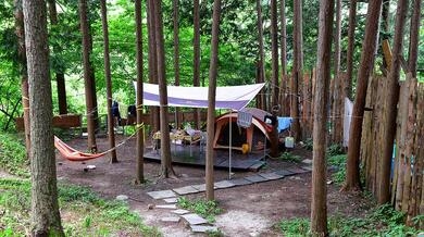 편백힐 치유의숲 캠핑장 야영장 사진