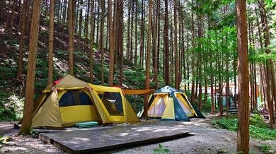 편백힐 치유의숲 캠핑장 야영장 사진