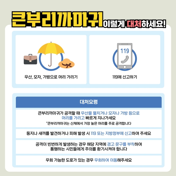 큰부리까마귀 이렇게 대처하세요! 이미지 4