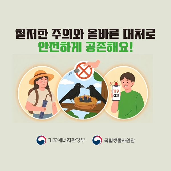 큰부리까마귀 이렇게 대처하세요! 이미지 6