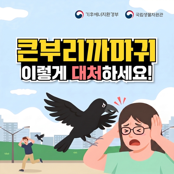 큰부리까마귀 이렇게 대처하세요! 이미지 1