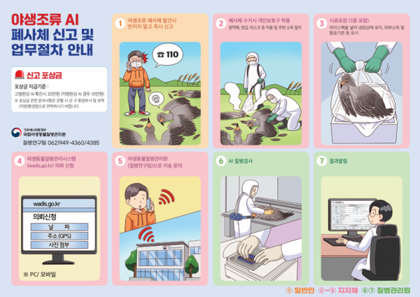 추석 연휴 대비 야생조류 조류인플루엔자(AI) 예방수칙 이미지 2