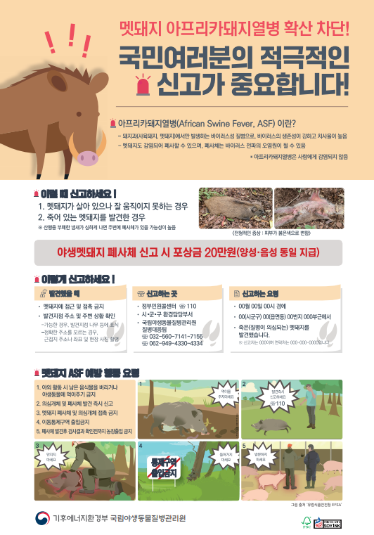 멧돼지 이렇게 하세요! 이미지 1