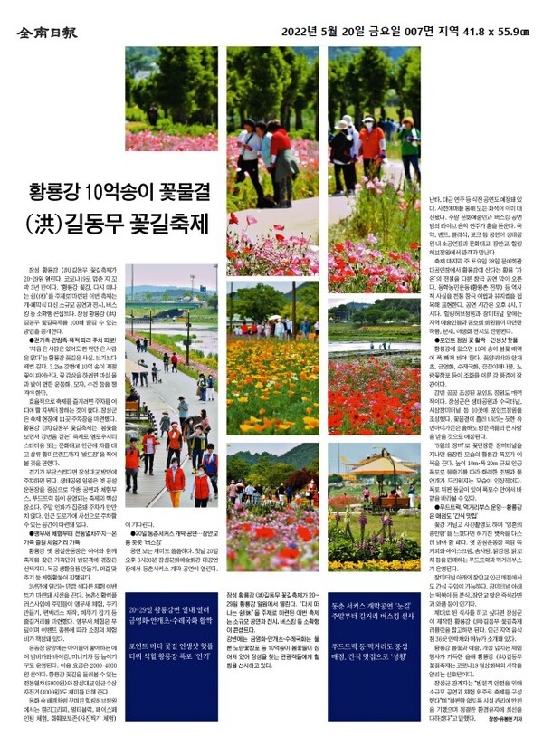황룡강 10억송이 꽃물결 (洪)길동무 꽃길축제  이미지 1