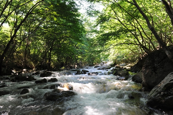 본격 피서철 “옐로우시티 장성서 즐겨요!” 이미지 2