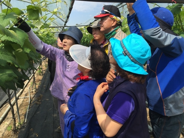 ‘귀농 1번지’ 장성서 맞춤형 귀농교육 받으세요! 이미지 2