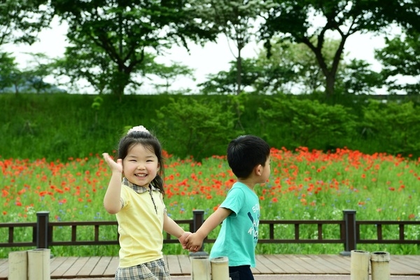[포토뉴스] “황룡강 꽃길, 나랑 같이 걸을래?” 이미지 1