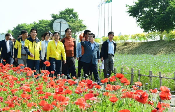 장성 황룡강 (洪)길동무 꽃길 축제 “팡파르~” 이미지 1