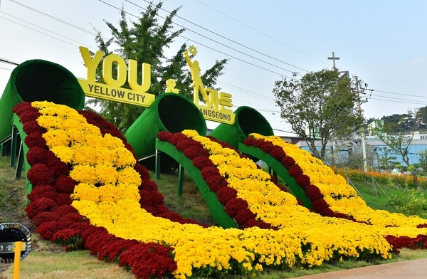 장성군, 태풍 ‘미탁’으로 ‘장성 황룡강 노란꽃잔치’ 축제 연기 이미지 1