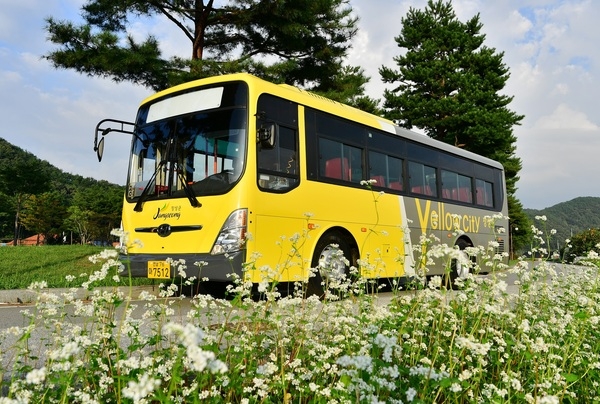 장성군 농촌버스, ‘옐로우시티’ 색깔 입혀 산뜻하게 변신 이미지 1