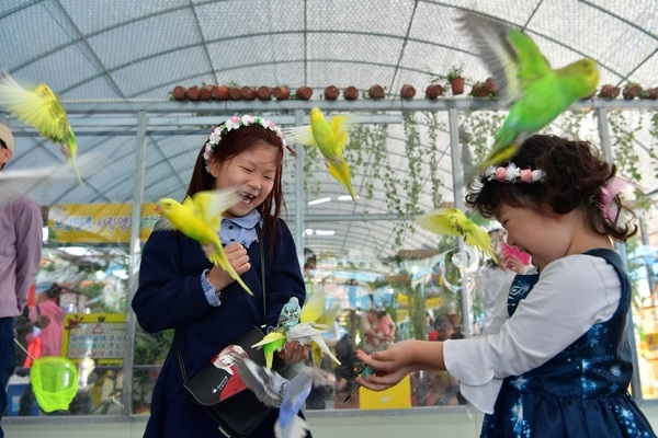 “내년에 또 만나요” 장성군 앵무새 특별체험관, 성황리에 운영 종료 이미지 1