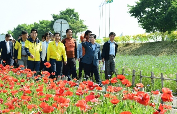 5월 ‘장성 황룡강 (洪)길동무 꽃길축제’ 취소 이미지 1