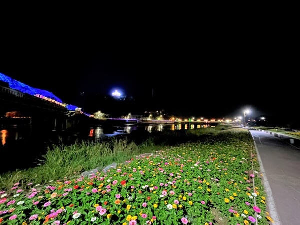 [포토뉴스]  가을꽃축제 개막 앞둔 장성 황룡강 “야경 이쁘네”   이미지 1