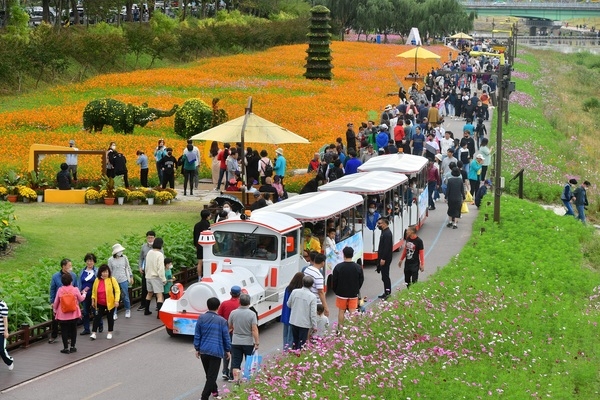 개막 첫날 6만 명 방문… 장성 황룡강 가을꽃축제 ‘대박 예감’ 이미지 1