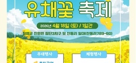 “노란 봄이 머무는 길” 장성군 진원면 유채꽃 축제 ‘팡파르’, 보도자료