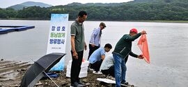 장성군, 장성호에 동남참게 4만 마리 방류, 보도자료