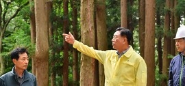 장성군, 소나무재선충병 적극 대응… 감염목 베어내고 수종 전환, 보도자료