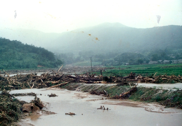1989수해현장(농경지매몰남면마령리)