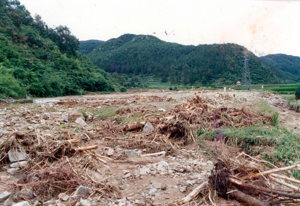 1989수해현장(농경지매몰오동촌)