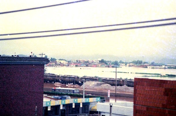 1989수해현장(침수된장성읍)