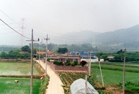 남면 마을전경(마흥마을)