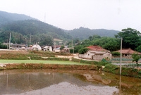 남면 마을전경(풍산마을)