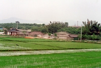 남면 마을전경(장산마을)