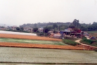 남면 마을전경(월산마을)