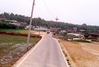 남면 마을전경(동태마을)