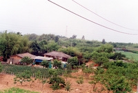 남면 마을전경(금리마을)