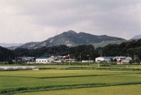 북일면 박산리 마을전경