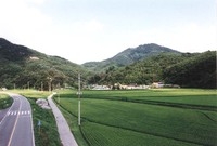 북일면 박산리 마을전경