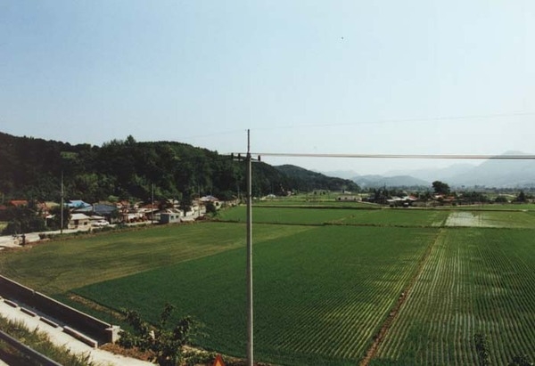 장성읍 장안리 마을전경