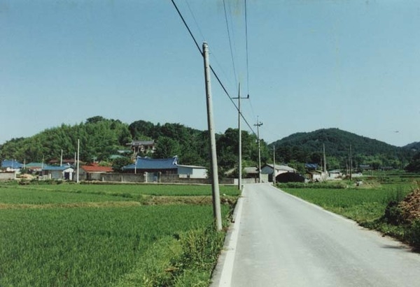 장성읍 장안리 마을전경