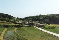 장성읍 기산리 마을전경
