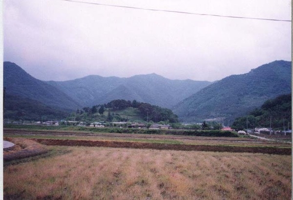 장성읍 상오리 마을전경