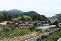 장성읍 부흥리 마을전경