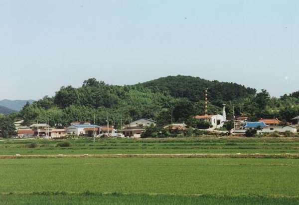 장성읍 안평리 마을전경