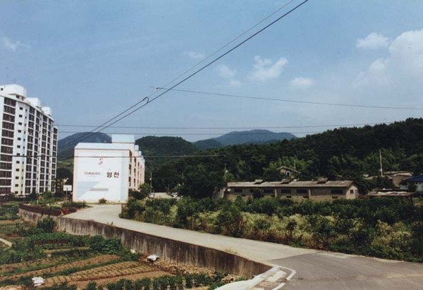 장성읍 영천리 마을전경