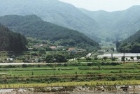 장성읍 야은리 마을전경