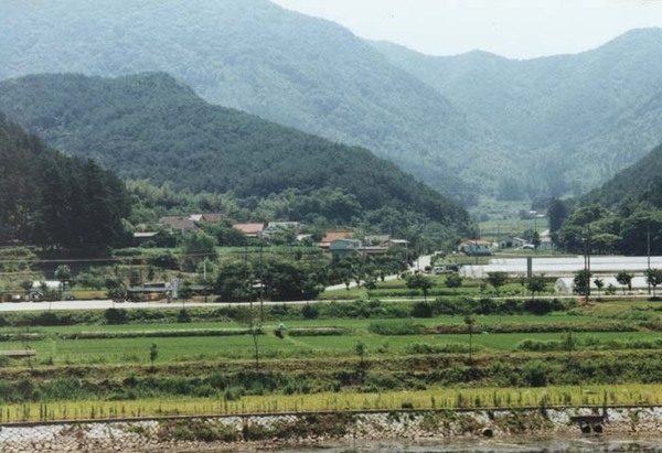 장성읍 야은리 마을전경
