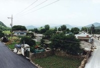 장성읍 유탕리 마을전경