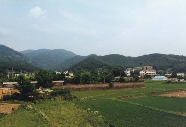 장성읍 월산동 마을전경