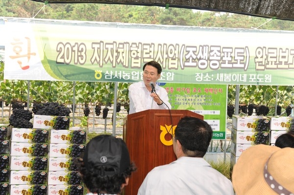 2013년 삼서농협 지자체 협력사업(포도) 현장 보고회
