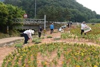 옐로우 시티 꽃동산 조성(...