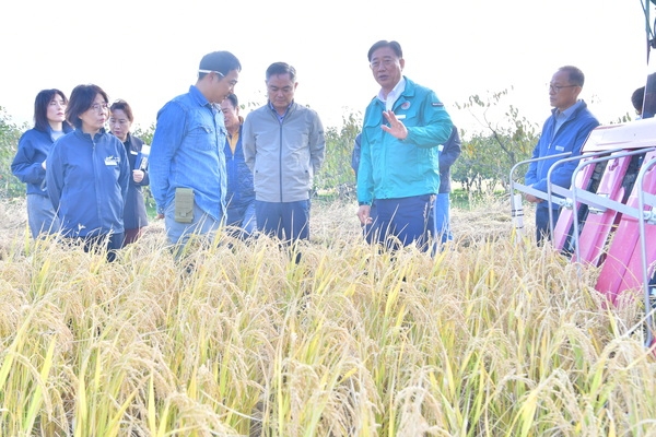 가루쌀 수확현장 방문